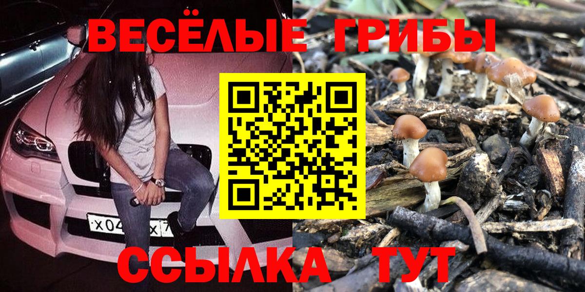 Псилоцибиновые грибы мухоморы  Вход с VPN  Шали 